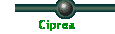 Ciprea